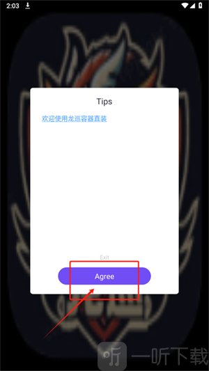 龙巡容器