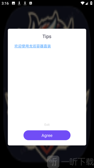 龙巡容器