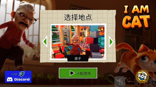 奶奶的贴心小猫