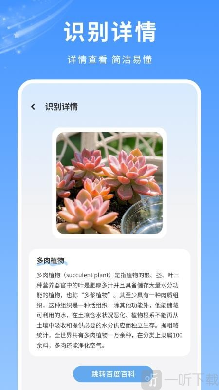 扫描件图片