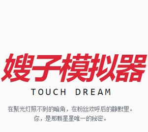 韩娱嫂子模拟器