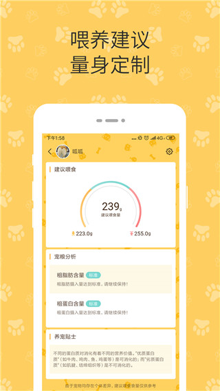 陪彼宠物