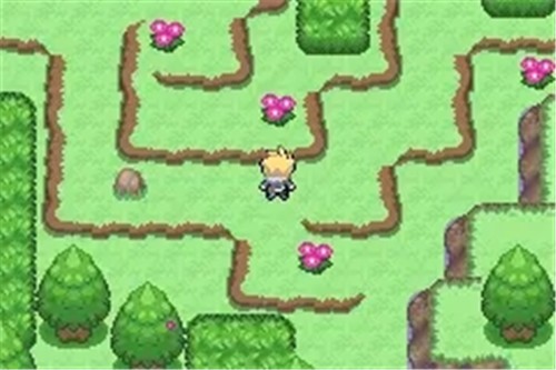 口袋妖怪忆梦之巅创世章