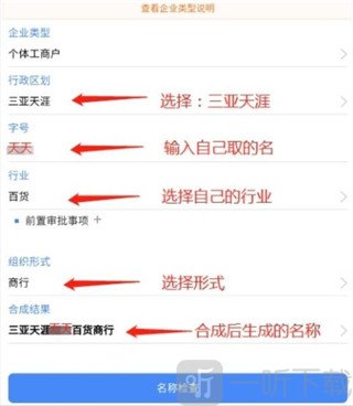 海南e登记企业信息填写界面截图