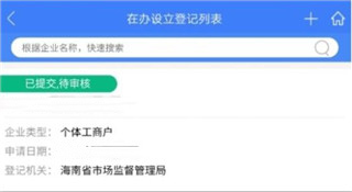 海南e登记提交审核界面截图