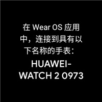 Wear OS by Google中国版恢复手表出厂设置界面