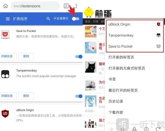 Kiwi Browser手动安装CRX扩展