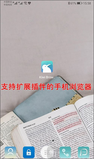 Kiwi Browser下载安装界面