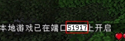 PCL2启动器查看端口号