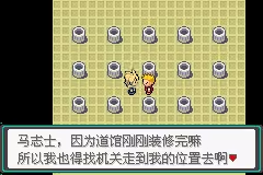 口袋妖怪忆梦之巅6.1版