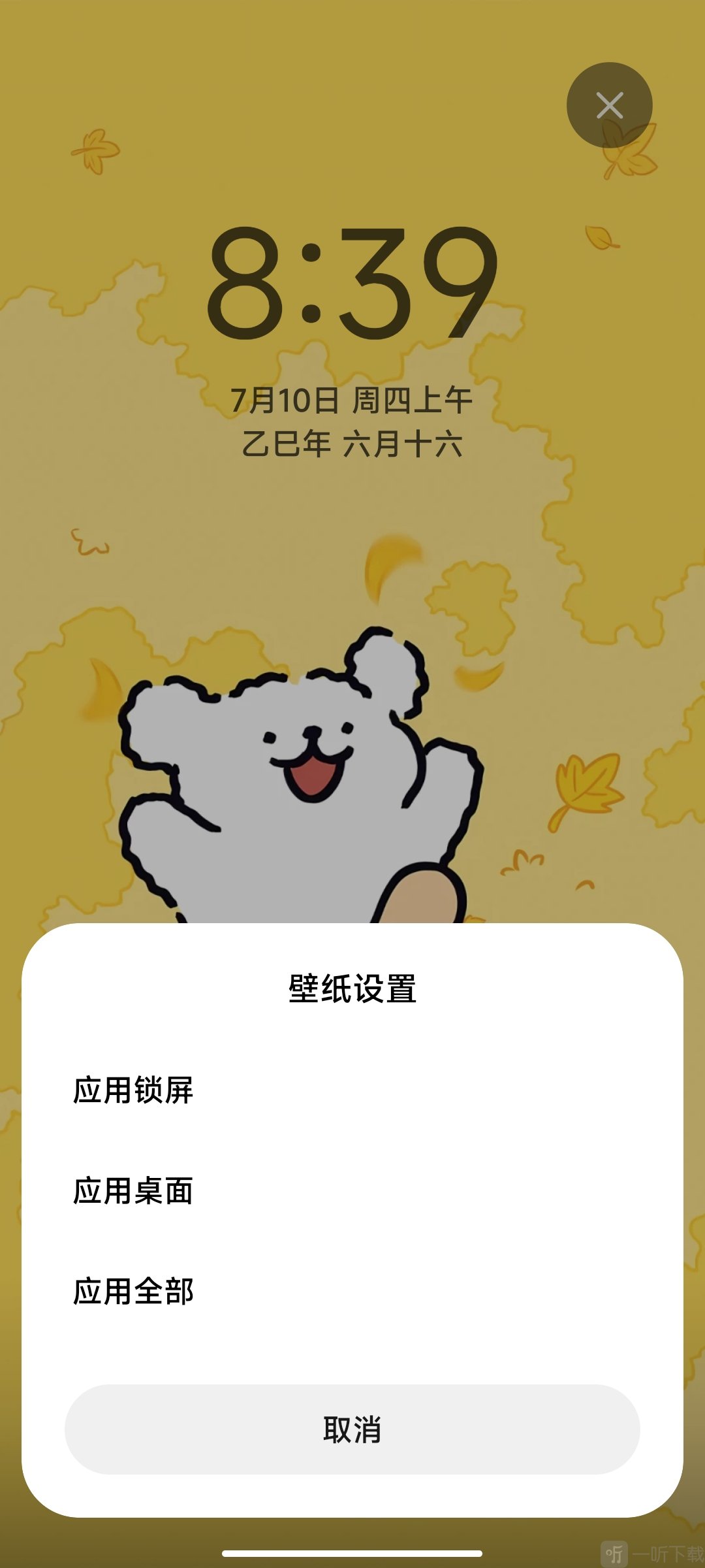 小米主题商店国际版应用壁纸界面