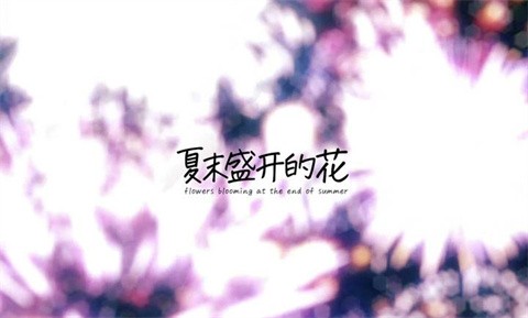 夏末盛开的花中文版