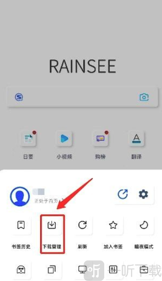 Rains浏览器轻量版