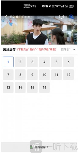 大眼视频无广告版剧集缓存下载页面截图