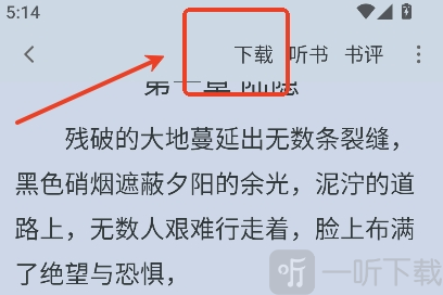 小说阅读页面