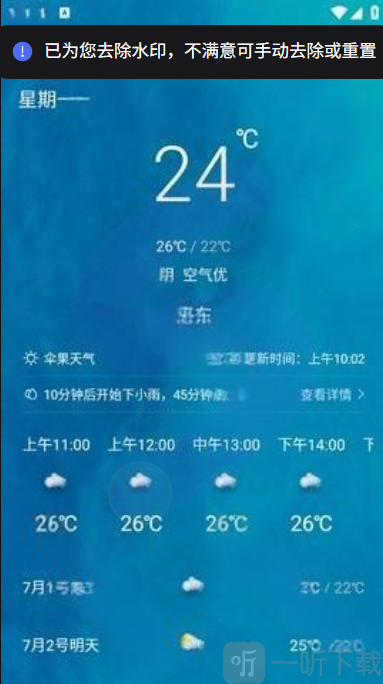 伞果天气
