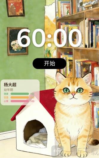哆点专注任务栏目