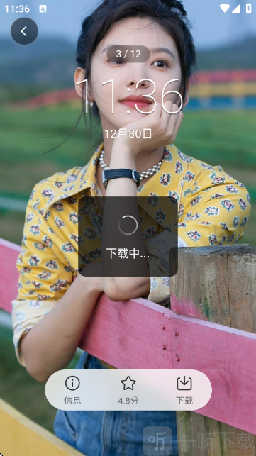 有图下载器APP下载壁纸