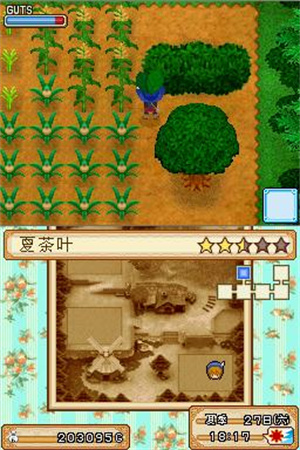 牧场物语风之集市汉化版