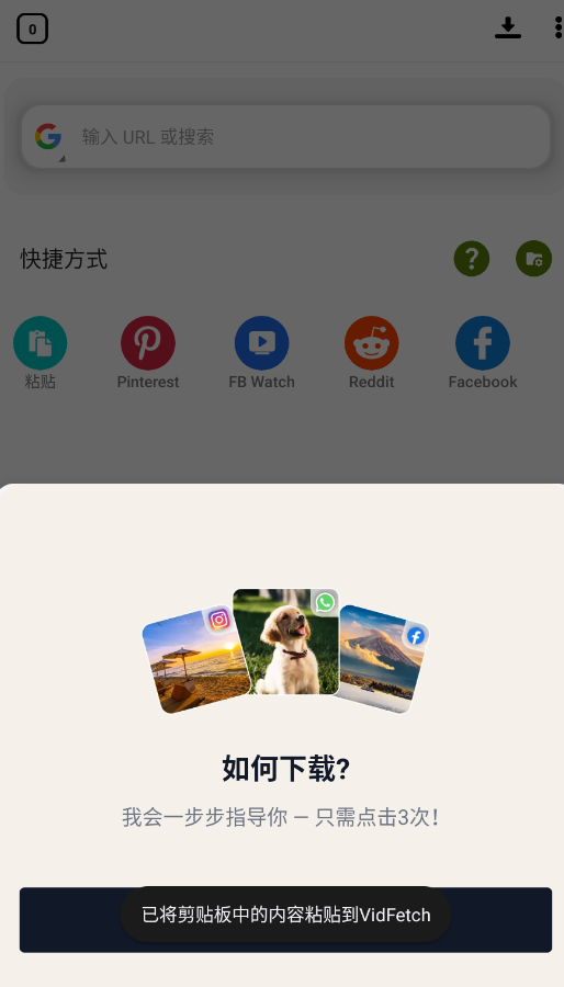 VidFetch