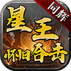 同辉星王怀旧合击