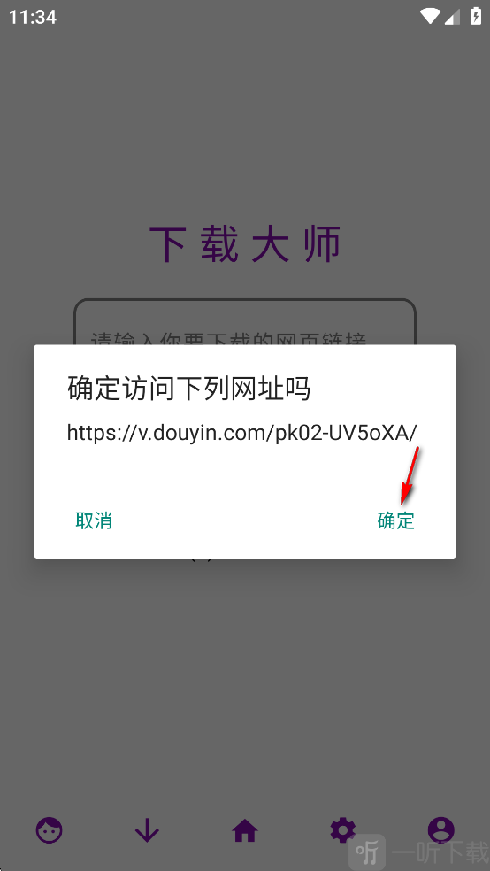 网页视频下载大师