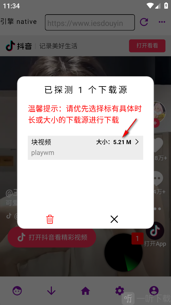 网页视频下载大师