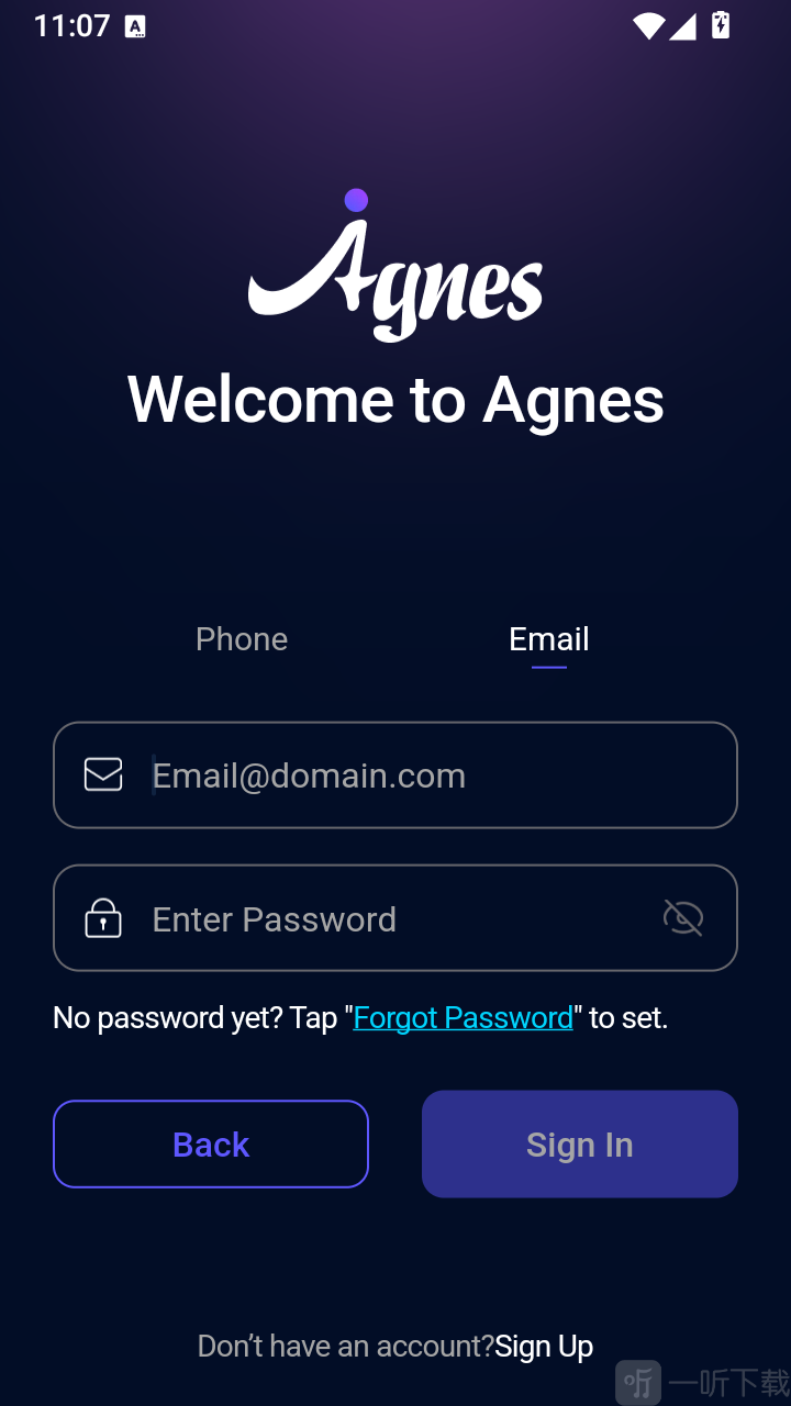 Agnes手机号邮箱登录界面