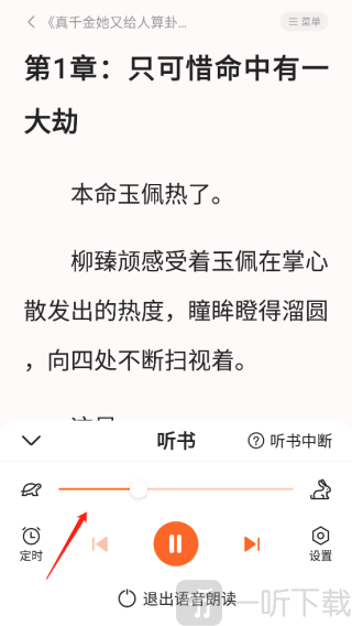 全免小说TXT听书设置