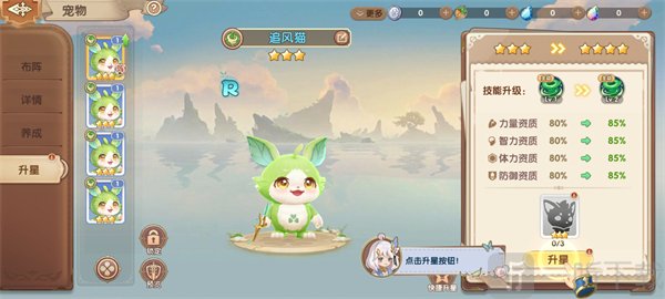 不休的勇士追风猫宠物升星