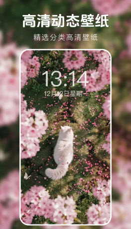 动态主题壁纸菌