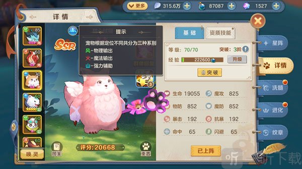 云上城之歌探险服宠物星阵