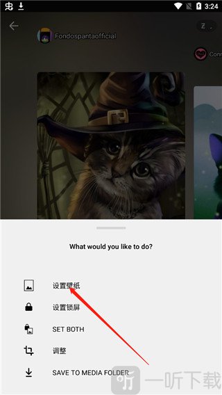 Zedge壁纸安卓版设置壁纸