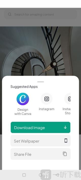 Pexels素材app