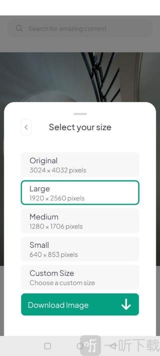 Pexels素材app