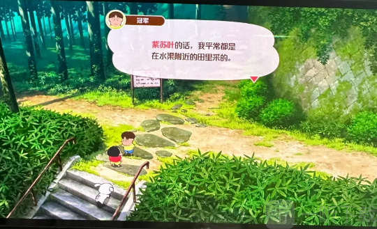 煤炭镇的小白紫苏叶路线
