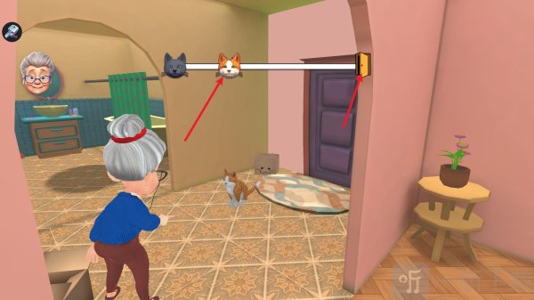 捣蛋猫和瞌睡奶奶