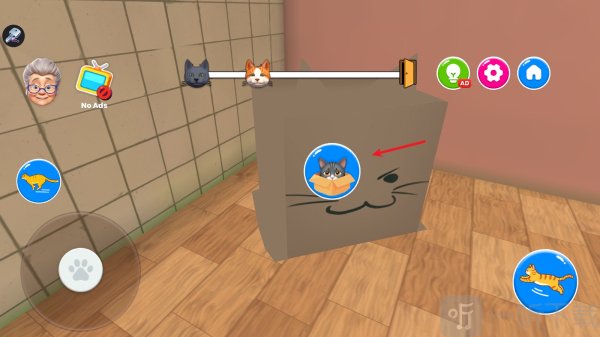 捣蛋猫和瞌睡奶奶