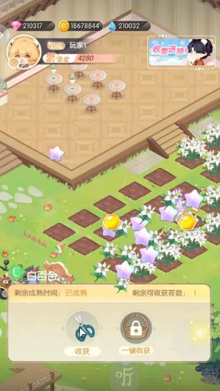 明星花店