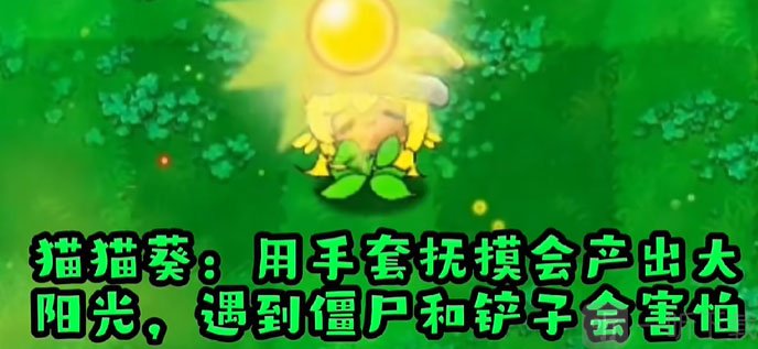 PVZ哈基米版猫猫葵