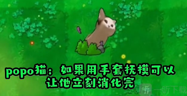 PVZ哈基米版Popo猫