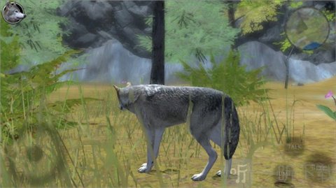 野狼模拟器2寻找伴侣