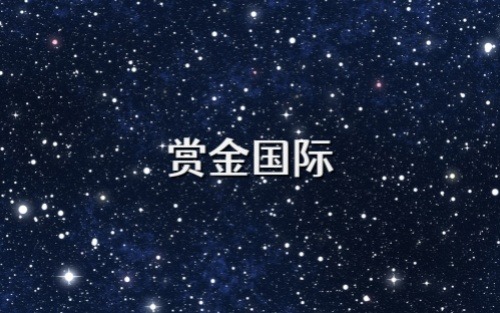 赏金国际链接