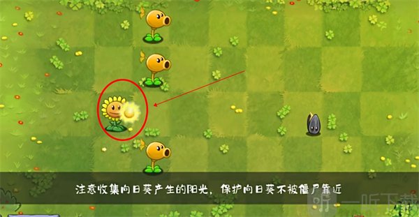 植物大战僵尸转基因版阳光获取方法