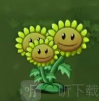 植物大战僵尸转基因版三子向日葵