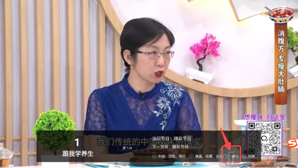 看看TV电视版