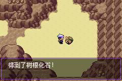 树根化石