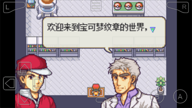 宝可梦纹章汉化版