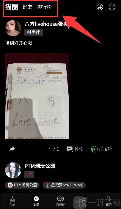 趴体猫潮玩公园
