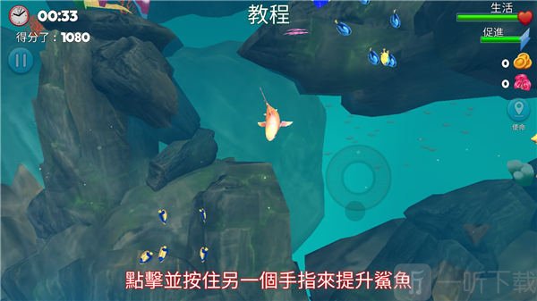 双头鲨加速捕猎技巧展示